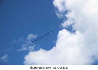 A Butterfly Kite In The Sky