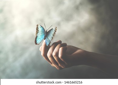 a butterfly leans on a woman's hand
