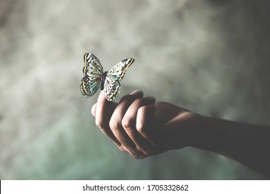 ein Schmetterling lehnt sich auf die Hand einer Frau