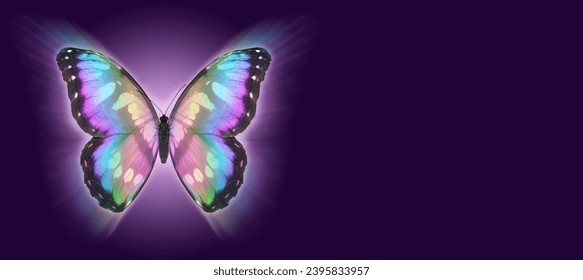  Butterfly Metaphor for departing soul Funeral Wake template banner - butterfly set against a wide purple background with copy space for message, order of service content, invitation or business card
 - Shutterstock ID 2395833957