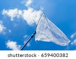 butterfly net in the blue sky (aerial insect net)