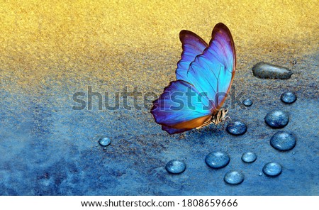 Similar – Image, Stock Photo A gold fly sits on hydrangea leaves