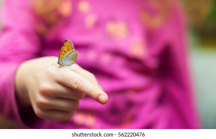 Butterfly on a finger