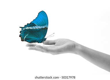 4,184 Blue butterfly hand woman Images, Stock Photos & Vectors ...