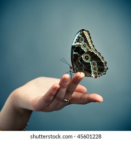 butterfly on the palm, blue background