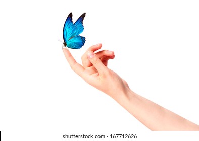 butterfly on woman's hand. In motion concept isolated