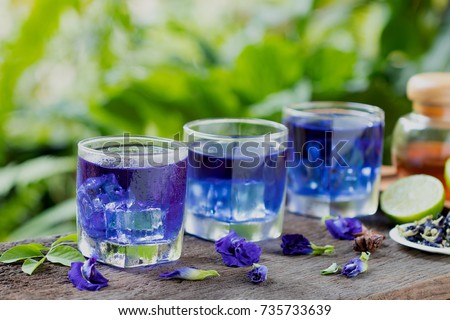 Butterfly pea or Blue pea flower herbal tea and dry butterfly pea flower