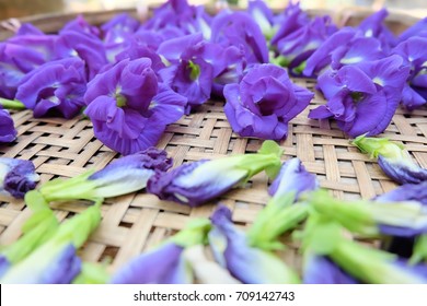 Butterfly Pea Flower In Basket