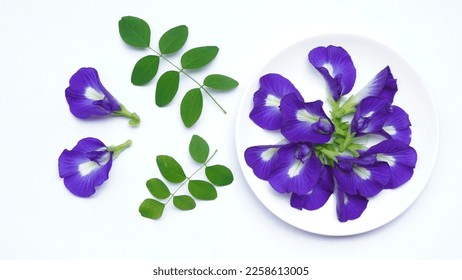 Butterfly pea flower isolated on white background.Close up fresh butterfly pea flower or blue pea, bunga telang. clitoria ternatea - Shutterstock ID 2258613005