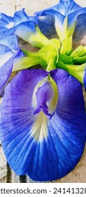 butterfly pea flower
namely an exotic blue flower which is rich in benefits for curing various diseases