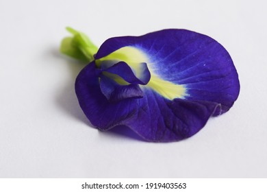 Butterfly Pea Flower Petals Which Are Natural Food Dye