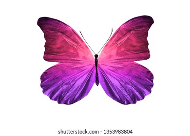 Butterfly Pink Purple Wings Isolated On Stock Photo 1353983804 ...