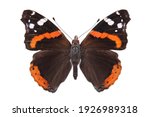 Butterfly - the red admiral (Vanessa atalanta) isolated on white background