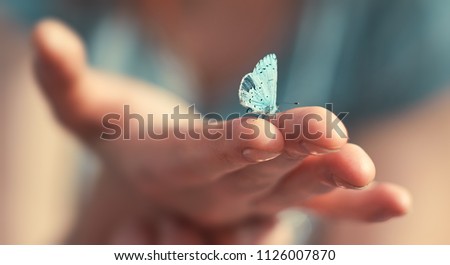 Butterfly sits on a woman hand. Blue, fragile butterfly wings on woman fingers create harmony of nature, beauty magic close-up. Macro.