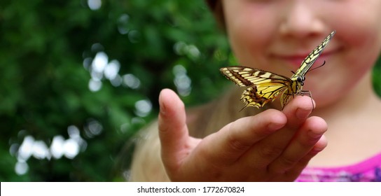 Butterfly sitting on the hand of a child. Child with a butterfly. Swallowtail butterfly on the hand of a little girl. Selective focus.
