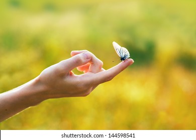Butterfly sitting on woman's hand
