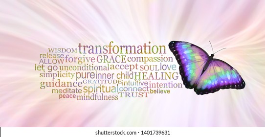 The Butterfly Symbolises Transformation  -  a multicoloured butterfly beside a TRANSFORMATION word cloud  against a radiating pale pink background