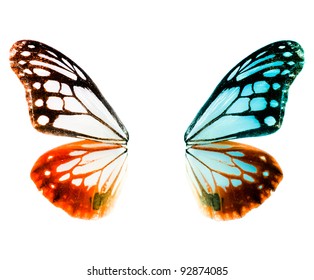 Butterfly Wing