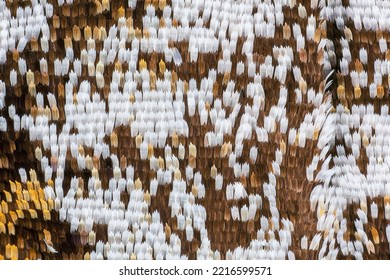 Butterfly Wing Scales At High Magnification.