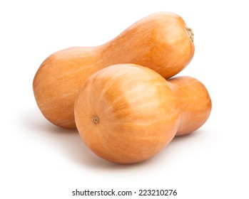 Butternut Squash Isolated