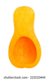 Butternut Squash Isolated