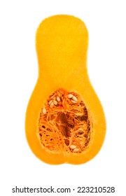 Butternut Squash Isolated