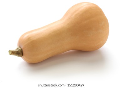 Butternut Squash Isolated On White Background