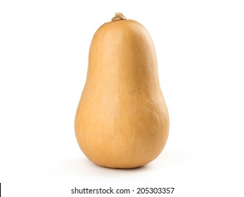 Butternut Squash Isolated On White Background