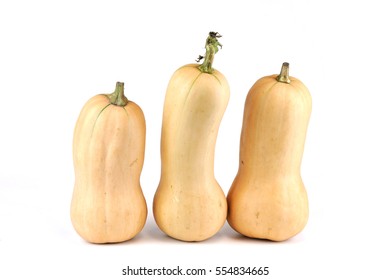 Butternut Squash Isolated On White Background