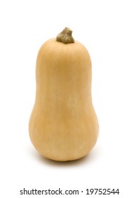 Butternut Squash On White Background