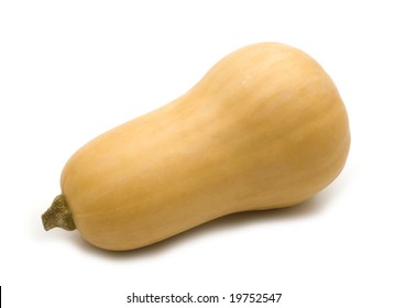 Butternut Squash On White Background