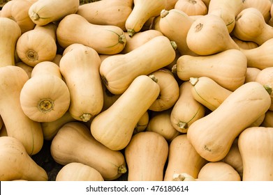 Butternut Winter Squash At The Farmers Market