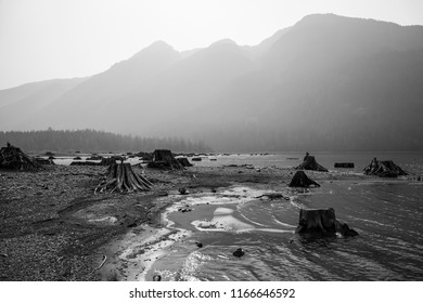 Buttle Lake Mist