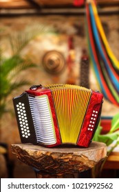 Button Accordion Vallenato
