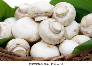 Button Mushroom On A Green Leaf