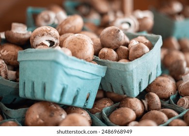 Button mushrooms or cremini or baby bella mushrooms are piled up in green cardboard containers on a white shelf of a grocery store. The brown cultivated organic raw fungi vegetable is freshly picked. - Powered by Shutterstock