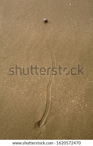 Sandstruktur4 Strand