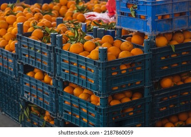 Buying Fresh Organic Produce At The Farmers' Market.