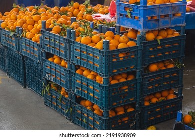 Buying Fresh Organic Produce At The Farmers' Market.