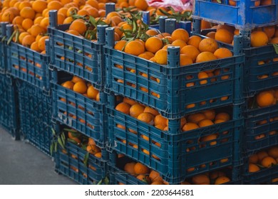 Buying Fresh Organic Produce At The Farmers' Market.