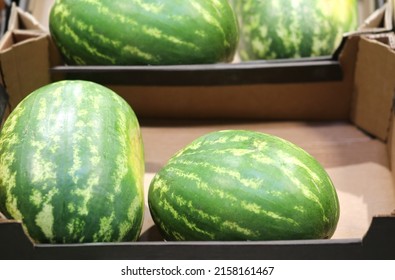 Buying Watermelon At The Market