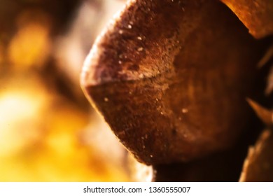 bwon pine cone macro close up