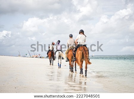 by the horses over the white sand beach in Zanzibar