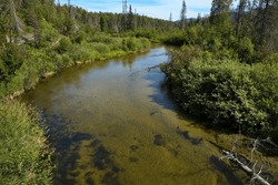 Byers Creek At Byers Lake In Denali National Park And Preserve,Alaska,United States,North America
