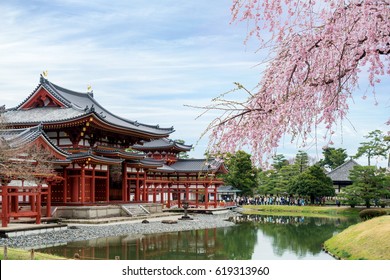 Byodo-in Temple in Uji, Kyoto, Japan during spring. Cherry blossom in Kyoto, Japan.