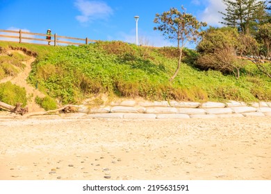 Byron Bay Beach, Sand And Green