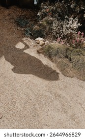 BYRON BAY NATURE AND OBJECTS SHADOW SUNSHINE OCEAN