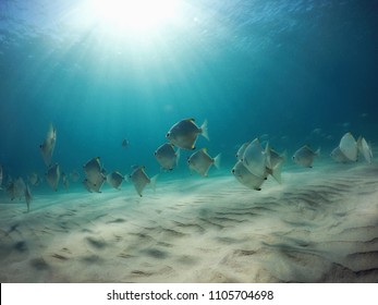 Byron Bay, Underwater