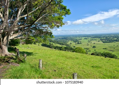 Byron Shire Landscape In The Sumer. In Australia.