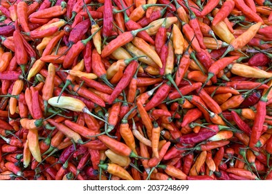 Rawit Images Stock Photos Vectors Shutterstock<script async src=
